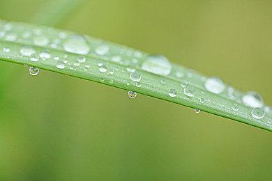 《地铁》系列新作情报泄露 不是开放世界主角将更换