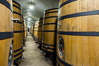 卡牌之声系列新作泄露 副标题及主视图揭晓